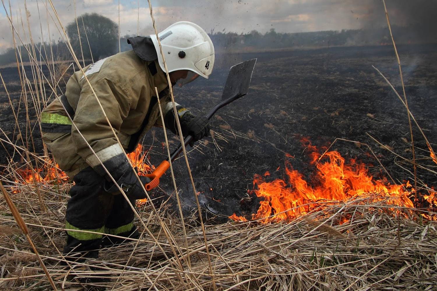 Пал огня. МЧС Ярославской области пал травы. Пал сухой травы. Пожар весной. Тушение весеннего пожара.